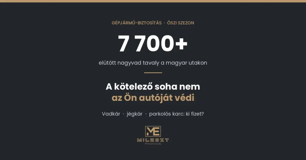 Vadkár és casco – tavaly 7 700 nagyvadat ütöttek el a magyar utakon